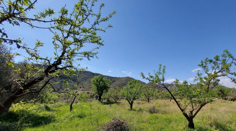 Almería - El Marchal - 3548m2