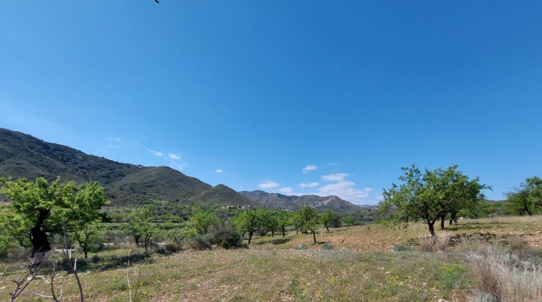 Almería - El Marchal - 3548m2