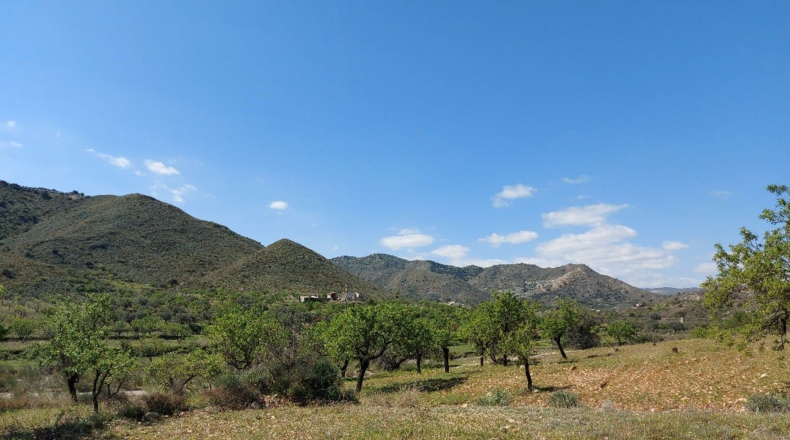 Almería - El Marchal - 3548m2