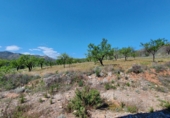 Casa de camp amb terreny en venda a la España, Lubrín, ref.: TR17217 foto