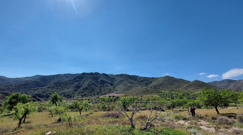 Almería - El Marchal - 3548m2
