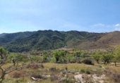 Casa de camp amb terreny en venda a la España, Lubrín, ref.: TR17217 foto