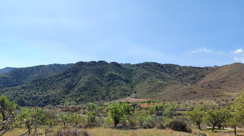 Almería - El Marchal - 3548m2
