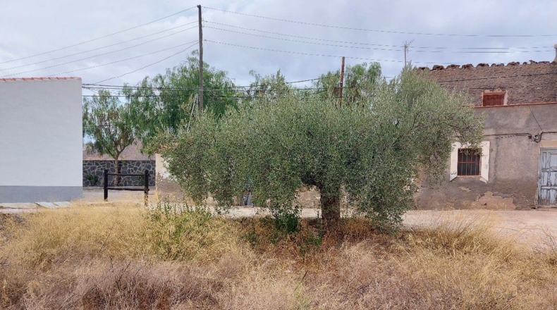 Almería - Benizalón - 162m2