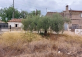 Casa de poble en venda a la España, Benizalón, ref.: TR23393 foto
