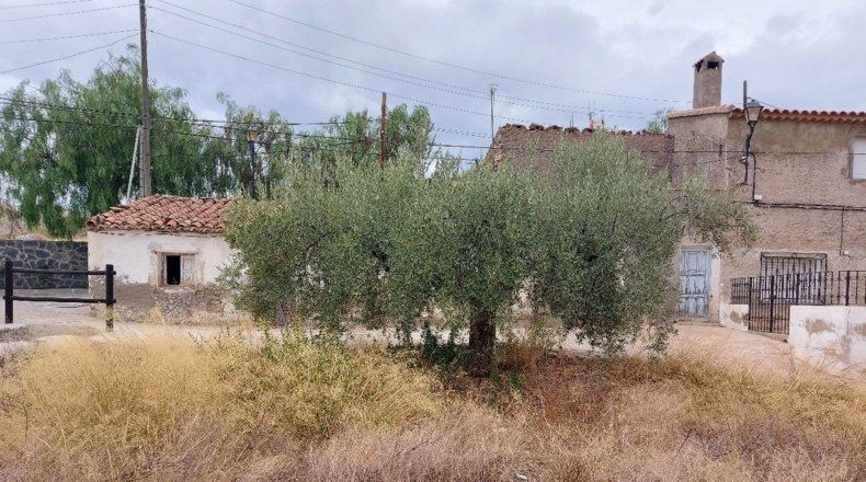 Almería - Benizalón - 162m2