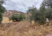 Casa de poble en venda a la España, Benizalón, ref.: TR23393 foto