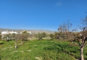 Casa de camp amb terreny en venda a la España, Sorbas, ref.: TR36902 foto