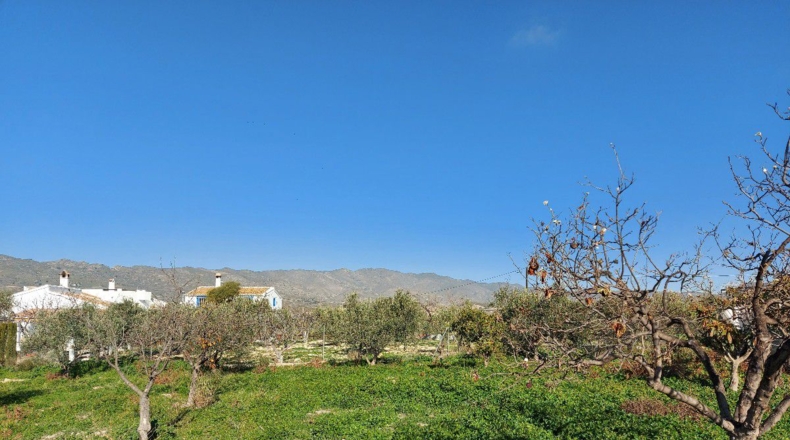Almería - La Mela - 2220m2