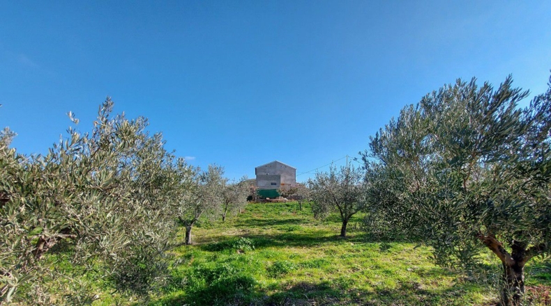 Almería - La Mela - 2220m2