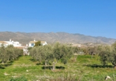 Casa de camp amb terreny en venda a la España, Sorbas, ref.: TR36902 foto