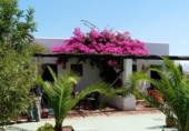 Casa de camp amb terreny en venda a Cabo de Gata ref.: TR49598 foto