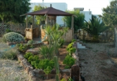 Casa de camp amb terreny en venda a Cabo de Gata ref.: TR49598 foto