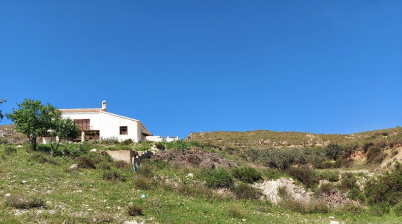 Almería - Los Martínez - 15000m2
