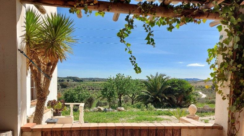 Almería - Los Martínez - 15000m2