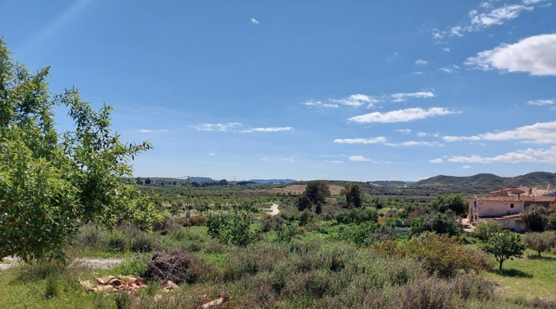 Almería - Los Martínez - 15000m2