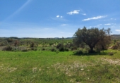 Casa de camp amb terreny en venda a la España, Sorbas, ref.: TR49597 foto