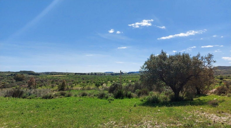 Almería - Los Martínez - 15000m2