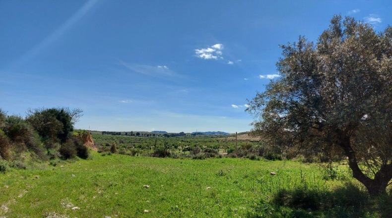 Almería - Los Martínez - 15000m2