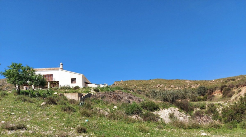 Almería - Los Martínez - 15000m2