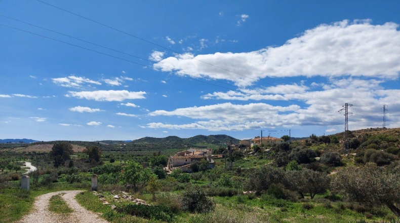 Almería - Los Martínez - 15000m2