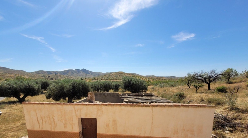 Almería - El Puntal - 8000m2