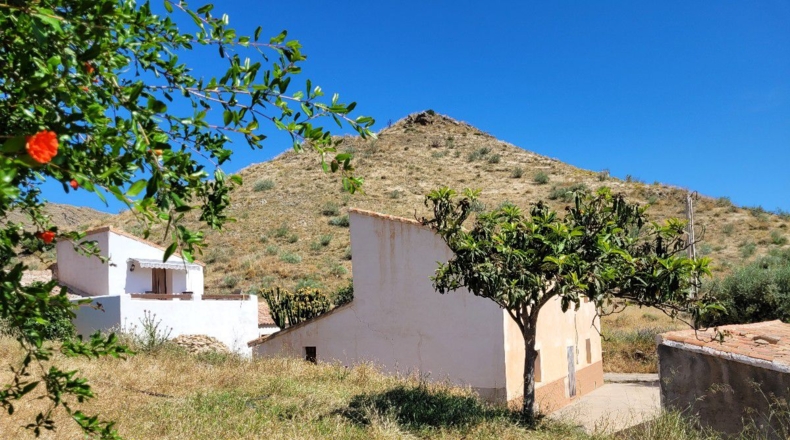 Almería - El Puntal - 8000m2