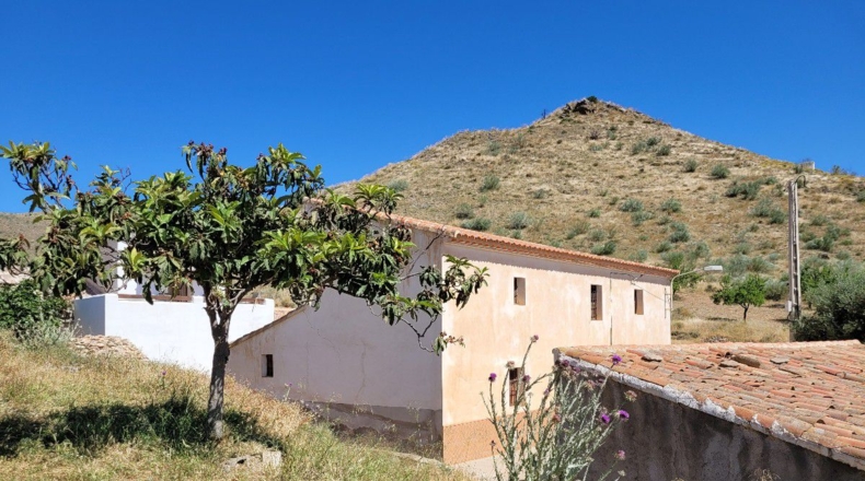 Almería - El Puntal - 8000m2