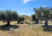 Casa de camp amb terreny en venda a la España, Sorbas, ref.: TR45578 foto