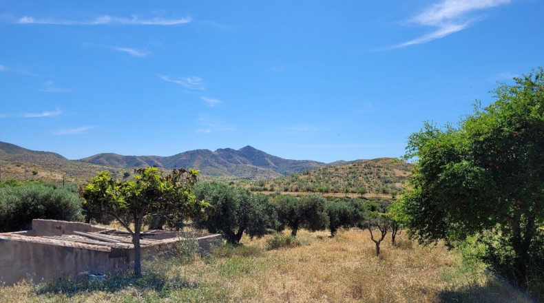 Almería - El Puntal - 8000m2