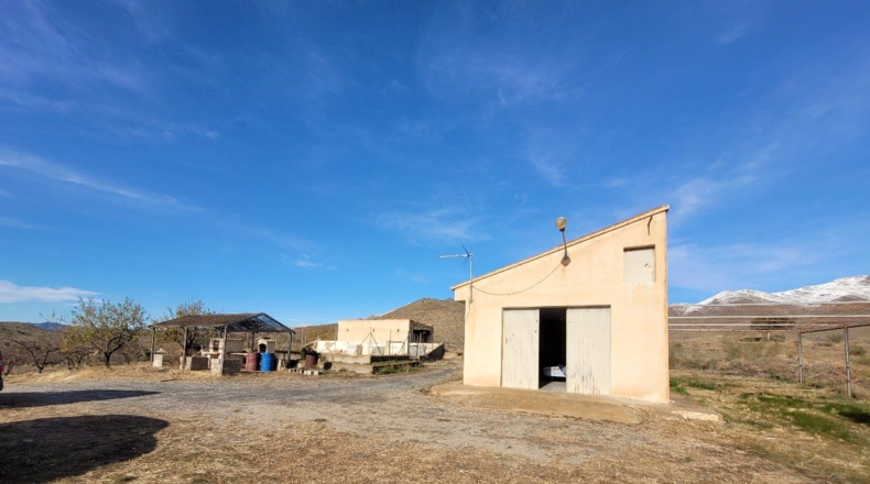 Almería - Uleila del Campo - 14728m2