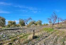 Foto 16
