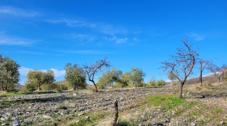 Almería - Uleila del Campo - 14728m2