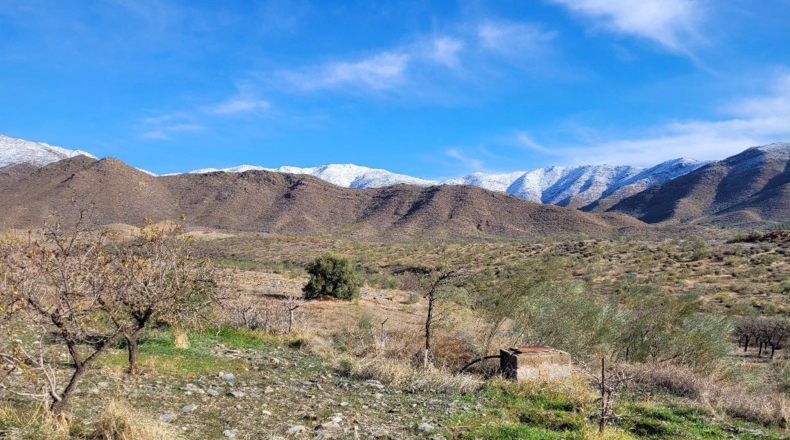 Almería - Uleila del Campo - 14728m2
