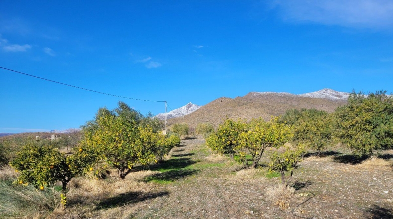 Almería - Uleila del Campo - 14728m2