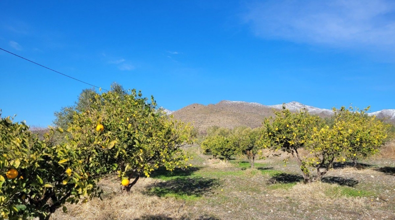 Almería - Uleila del Campo - 14728m2