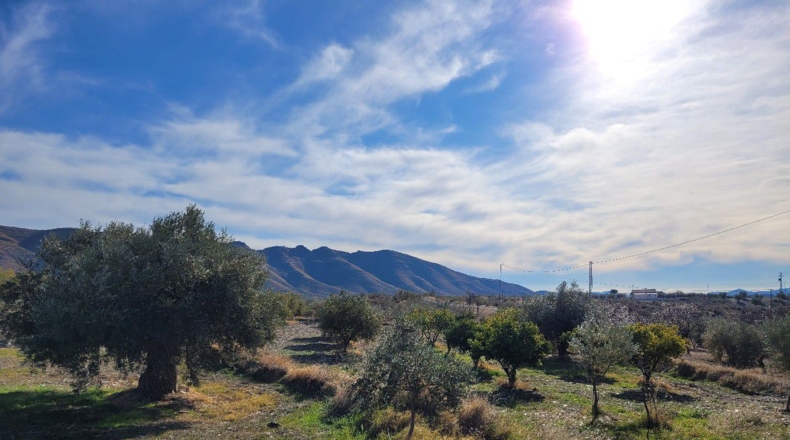 Almería - Uleila del Campo - 14728m2
