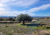 Casa de camp amb terreny en venda a la España, Uleila del Campo, ref.: TR70401 foto