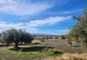 Casa de camp amb terreny en venda a la España, Uleila del Campo, ref.: TR70401 foto