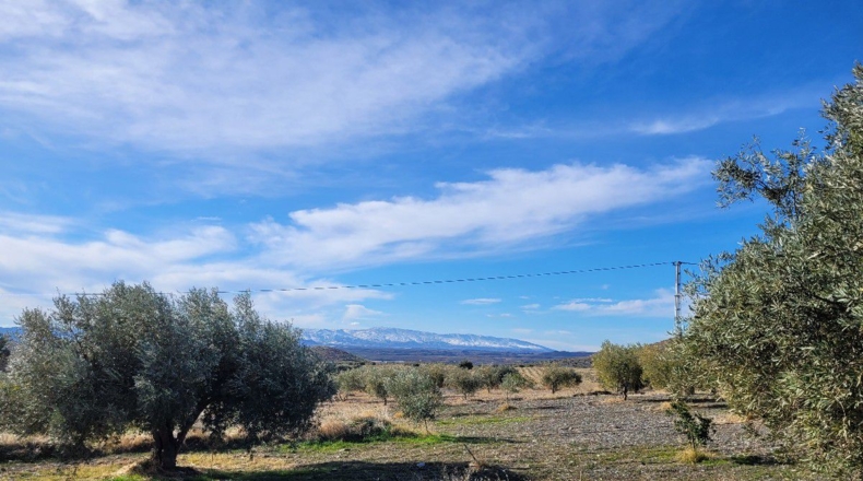 Almería - Uleila del Campo - 14728m2