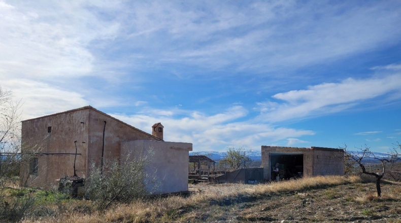 Almería - Uleila del Campo - 14728m2