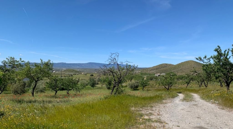 Almería - Uleila del Campo - 14728m2