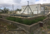 Casa de camp amb terreny en venda a la España, Uleila del Campo, ref.: TR70401 foto