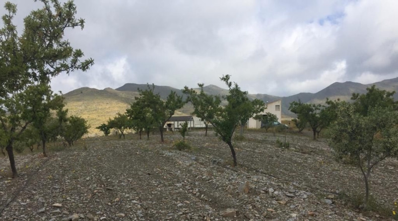 Almería - Uleila del Campo - 14728m2