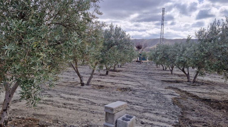 Almería - Tabernas - 6700m2