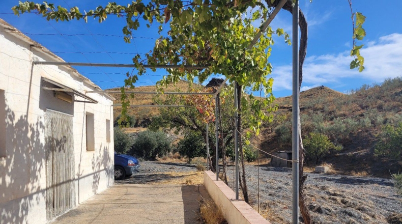 Almería - Senés - 104000m2