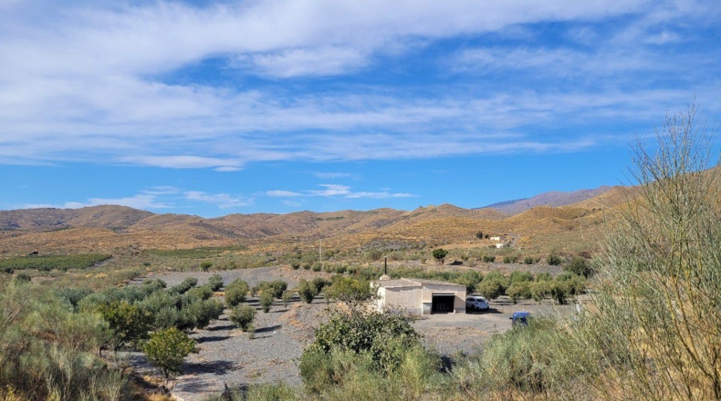 Almería - Senés - 104000m2