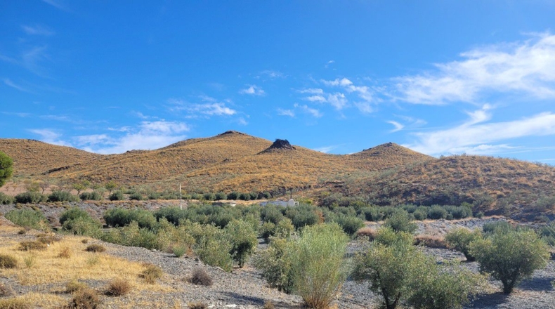 Almería - Senés - 104000m2