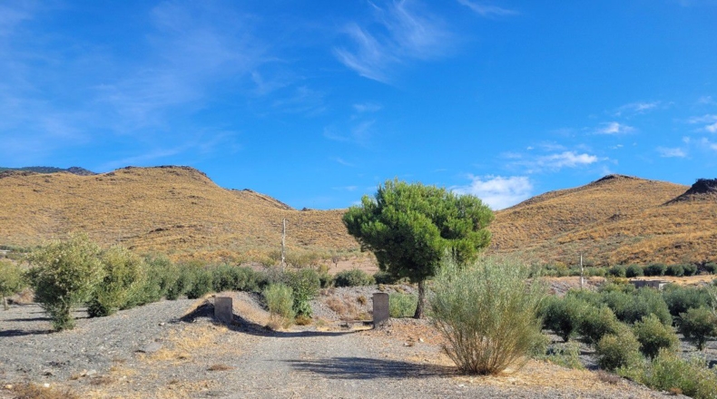 Almería - Senés - 104000m2