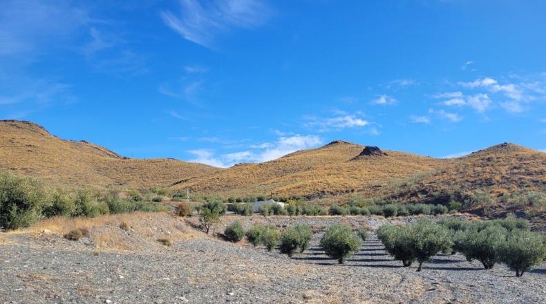 Almería - Senés - 104000m2